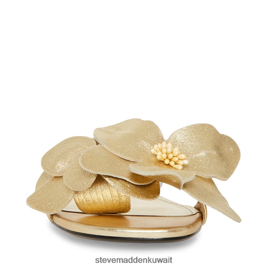 Steve Madden نحيف ميلينا جلد ذهبي أحذية 6JPNNF104