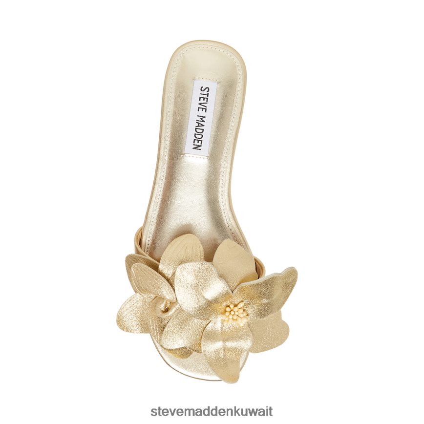 Steve Madden نحيف ميلينا جلد ذهبي أحذية 6JPNNF104