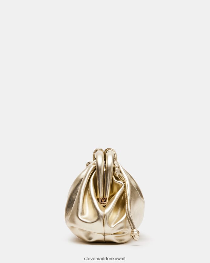 Steve Madden للجنسين bnikki شامبانيا شنطة 6JPNNF435